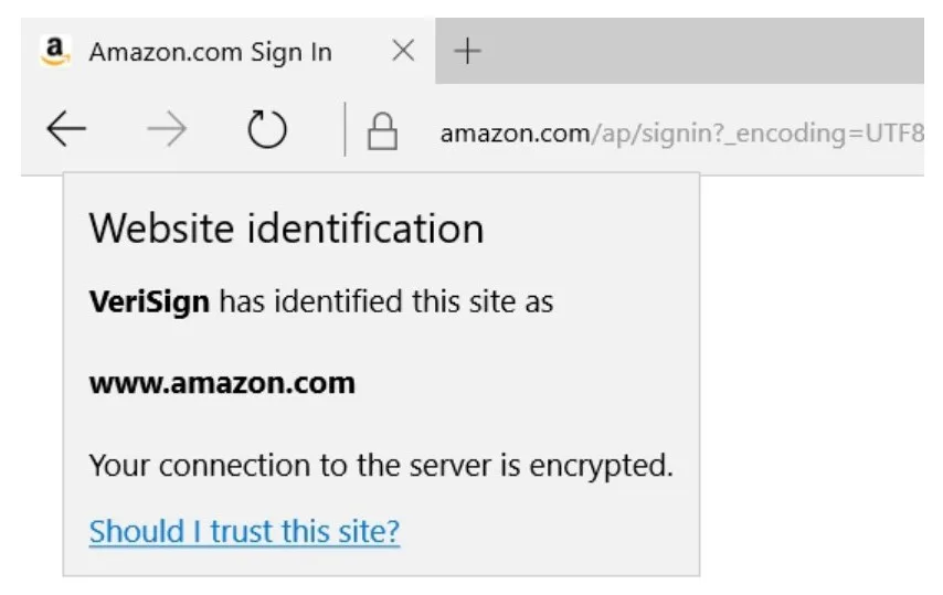 «Сколько раз вы неосознанно продавали свою душу в Интернете?» Руководство по безопасному онлайн-шопингу