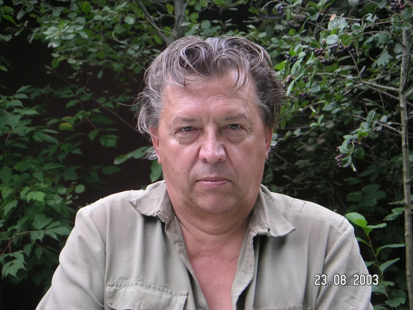 Инженер, изобретатель, историк